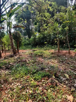 Land for Sale in Mawanalle