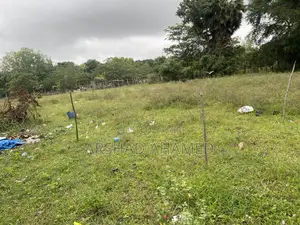 Land for Sale in Nawaladi