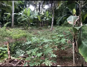Land for Sale in Kadawatha