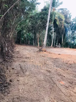 Gampaha Weliweriya