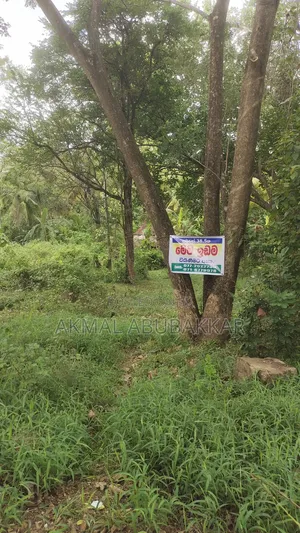 Land for Sell
