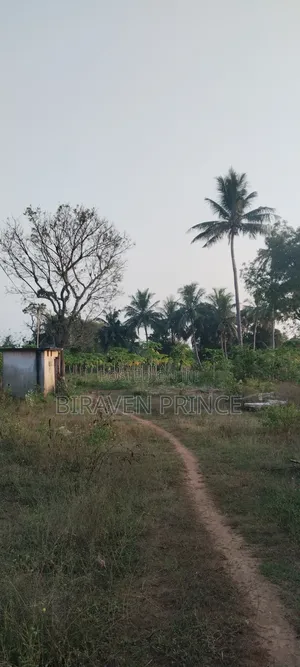 Landfor Sale