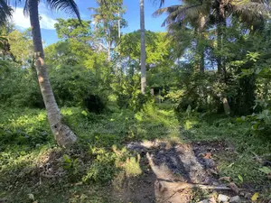 Land Sale in Ahngama
