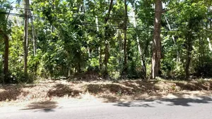 Land for Sale in Sigirya