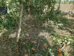 Land for Sale in Beruketiya, Homagama