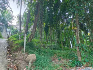 Land for Sale in Bope