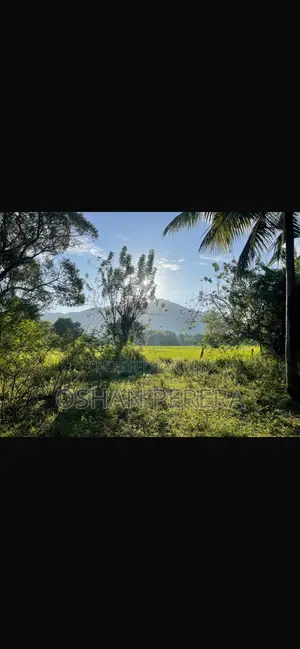 Dambulla Land for Sale