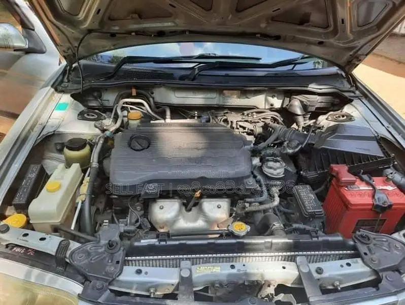 Nissan Sunny FB15 Super Saloon 2000
