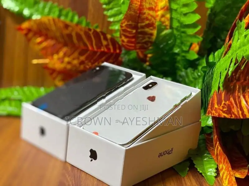 Apple iPhone XS 256GB (Used)