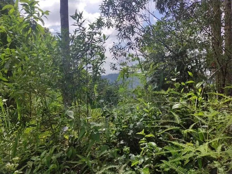 Land Sale in Kalawana, Weddagala