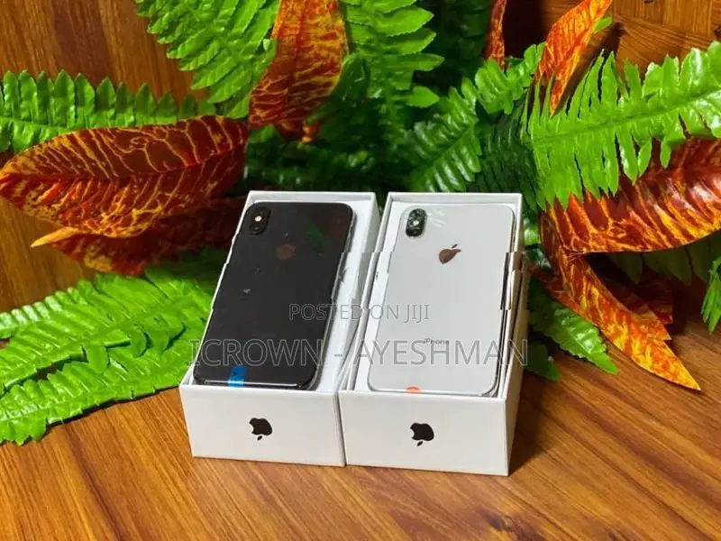 Apple iPhone XS 256GB (Used)