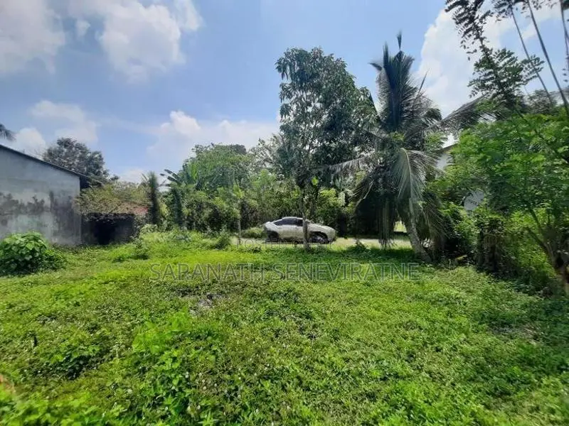 Land in Polgasowita for sale