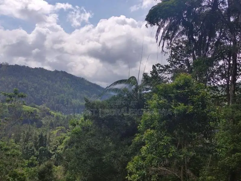 Land Sale in Kalawana, Weddagala