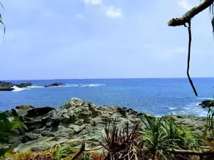 (LD109) Beach Front 175 P Land Sale At Talalla Matara