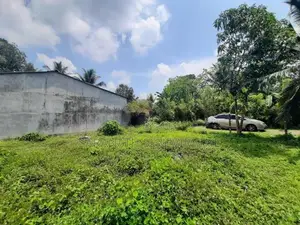 Land in Polgasowita for sale