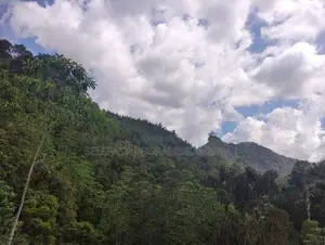 Land Sale in Kalawana, Weddagala