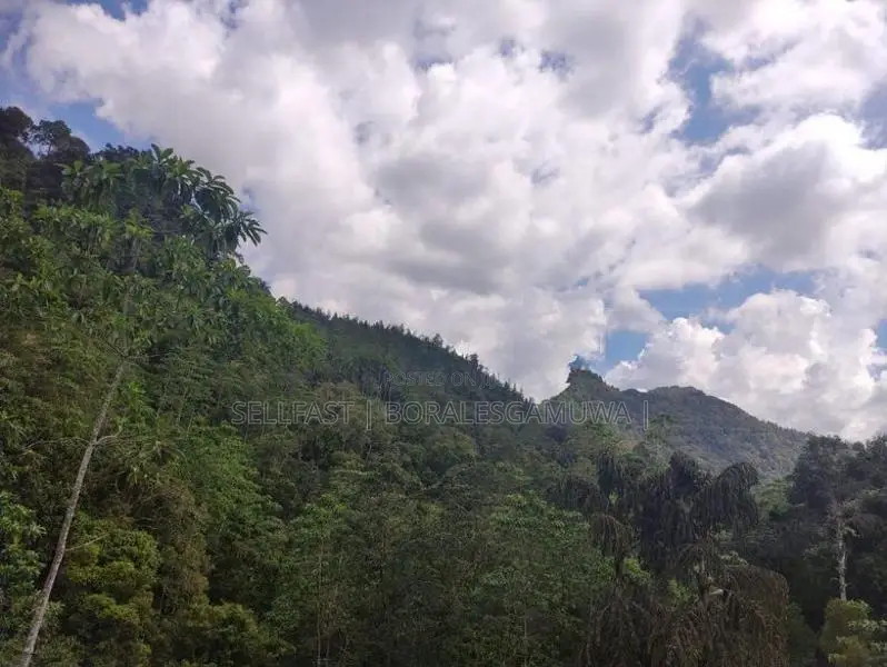 Land Sale in Kalawana, Weddagala