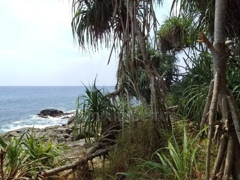 (LD109) Beach Front 175 P Land Sale At Talalla Matara