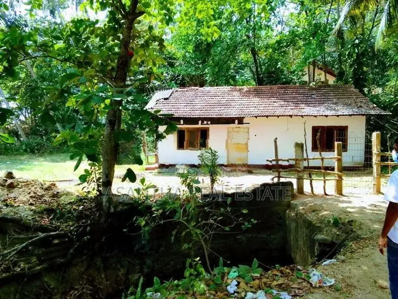 (LD109) Beach Front 175 P Land Sale At Talalla Matara