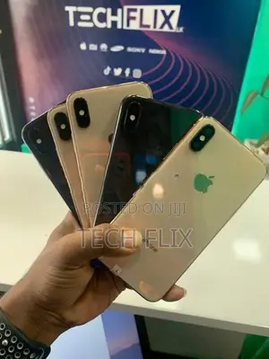 Apple iPhone XS 256GB (Used)