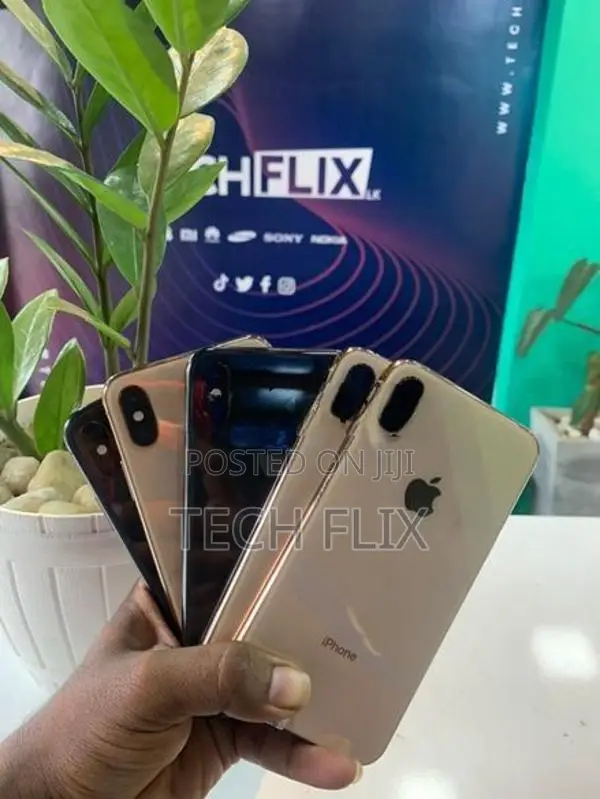 Apple iPhone XS 256GB (Used)