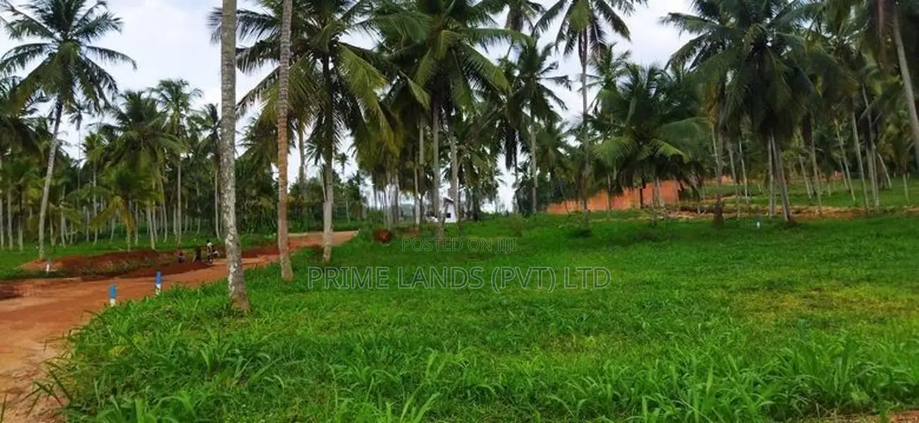 මීගමු පාරට ලගින් නාරම්මල ඉඩම