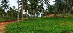 මීගමු පාරට ලගින් නාරම්මල ඉඩම