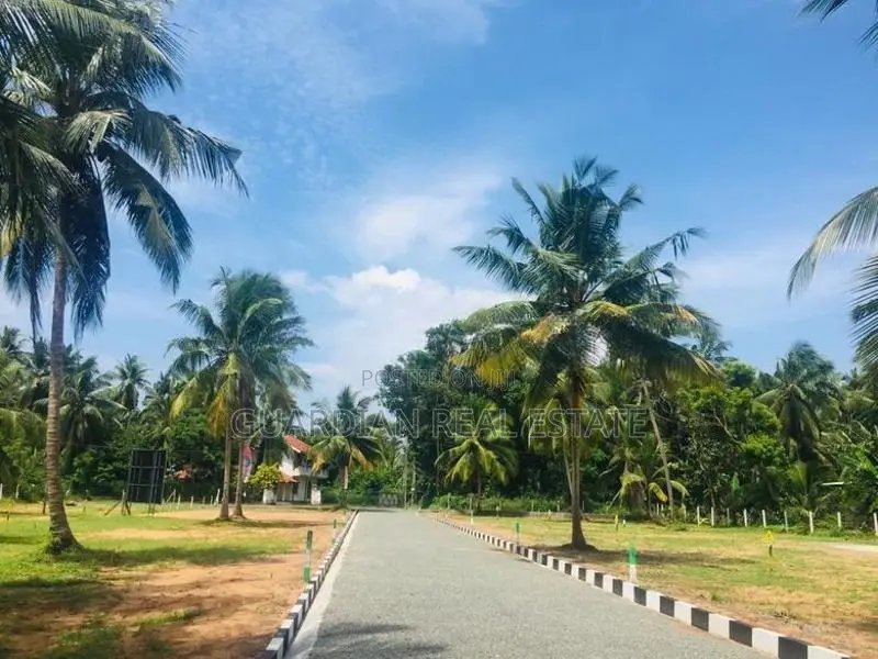 වටිනා ඉඩමක් සීදුව මුතුවාඩියෙන්