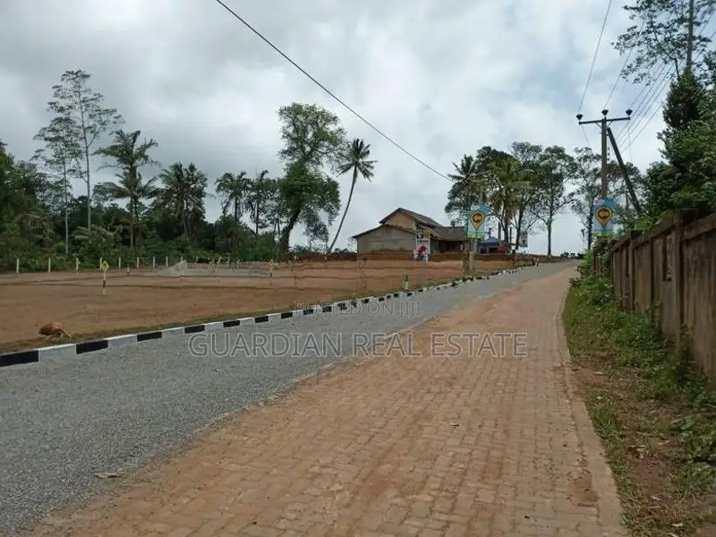 වැලිපැන්න ඉඩමක්