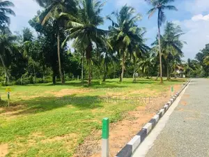 වටිනා ඉඩමක් සීදුව මුතුවාඩියෙන්