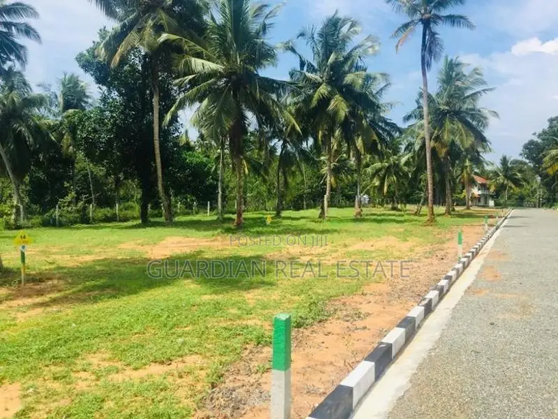 වටිනා ඉඩමක් සීදුව මුතුවාඩියෙන්