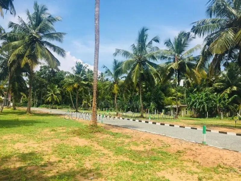 වටිනා ඉඩමක් සීදුව මුතුවාඩියෙන්