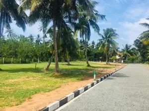 වටිනා ඉඩමක් සීදුව මුතුවාඩියෙන්