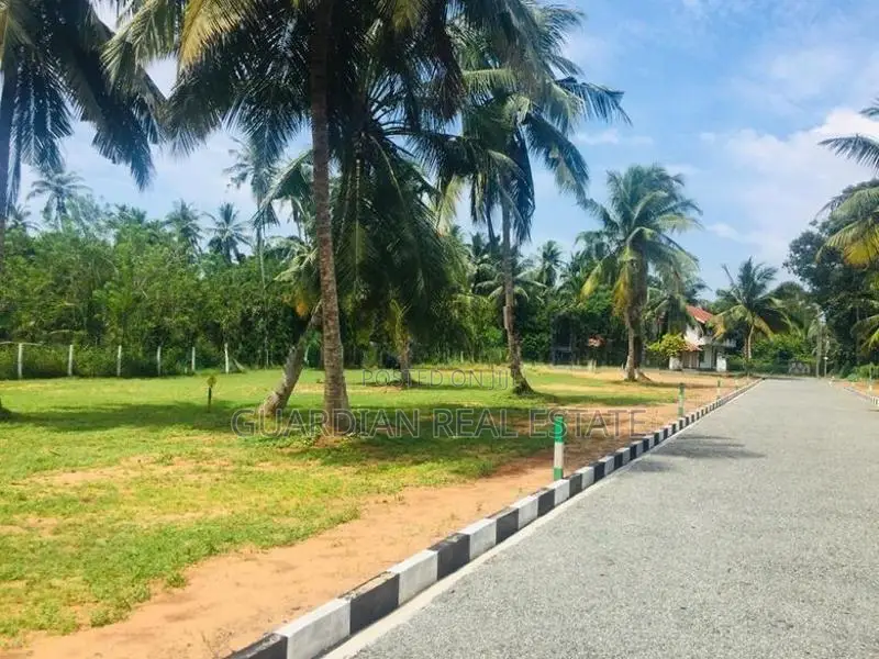 වටිනා ඉඩමක් සීදුව මුතුවාඩියෙන්