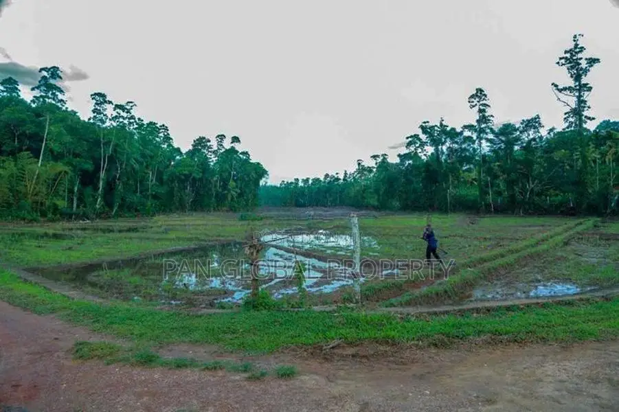 Estate for sale in Payagala ,Kalutara