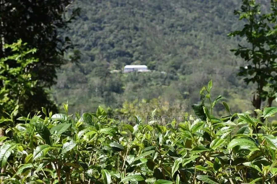Estate for sale in Deniyaya
