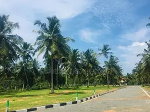වටිනා ඉඩමක් සීදුව මුතුවාඩියෙන්