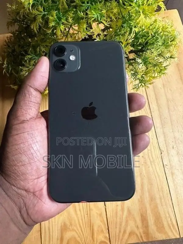 Apple iPhone 11 256GB (Used)