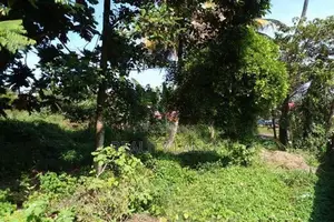 Land for Sale (code 3517) Kelaniya
