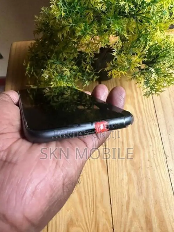 Apple iPhone 11 256GB (Used)