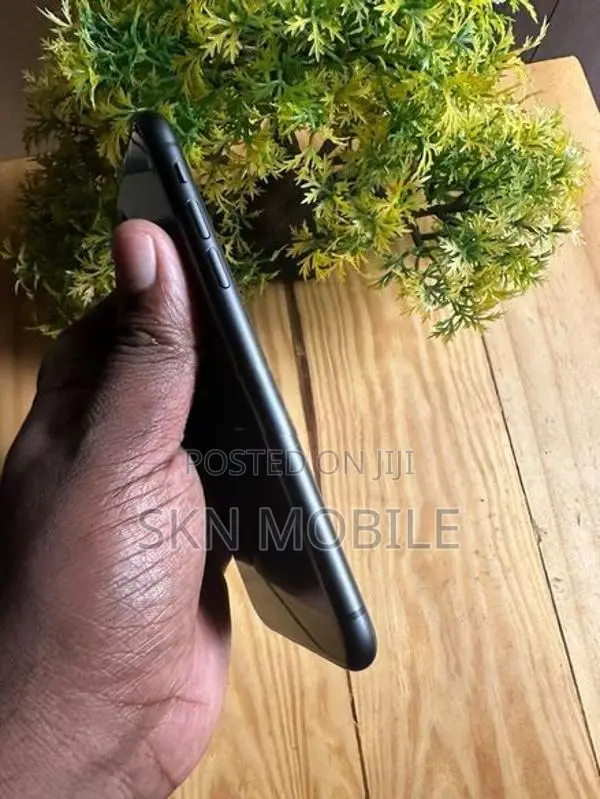 Apple iPhone 11 256GB (Used)