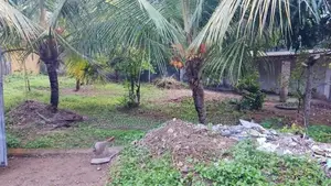 Bare Land For Sale in Colombo 5
