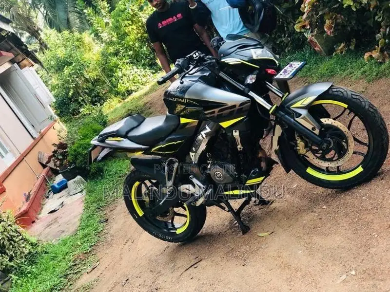 Bajaj Pulsar NS200 BGC 2019