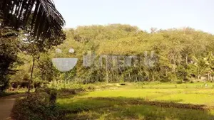 (HJ 59) 19 Acre Land for Sale - Kalutara