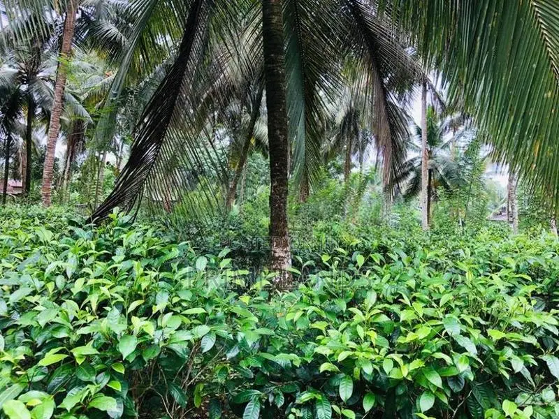 බිම්කොටස් විකිණීමට බන්ඩාරගම