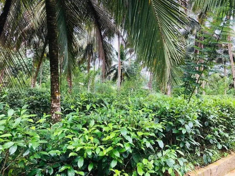 බිම්කොටස් විකිණීමට බන්ඩාරගම