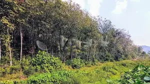 (HJ 59) 19 Acre Land for Sale - Kalutara