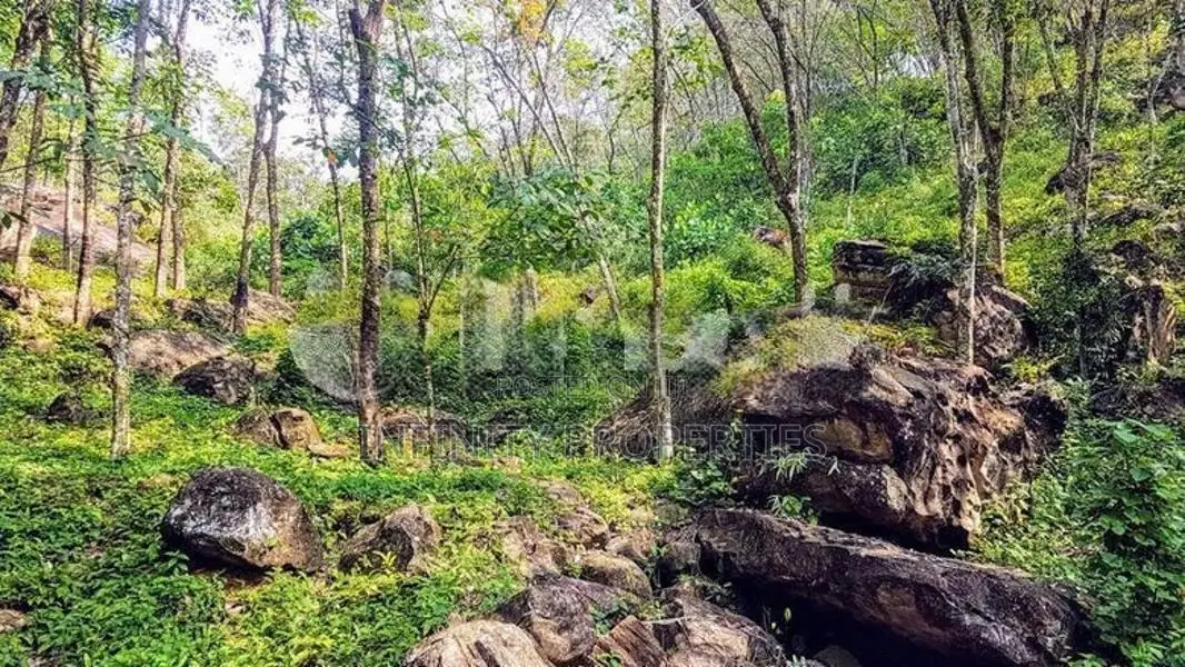 (HJ 59) 19 Acre Land for Sale - Kalutara