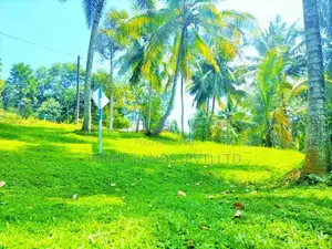 ගොඩකවෙලින් ඉඩමක්,