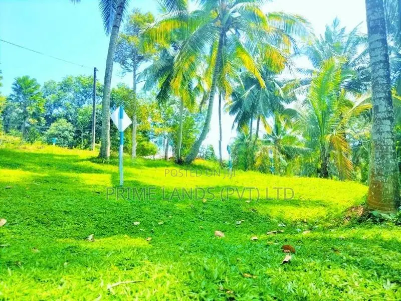 ගොඩකවෙලින් ඉඩමක්,